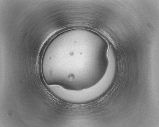 X0000116391068200912231105