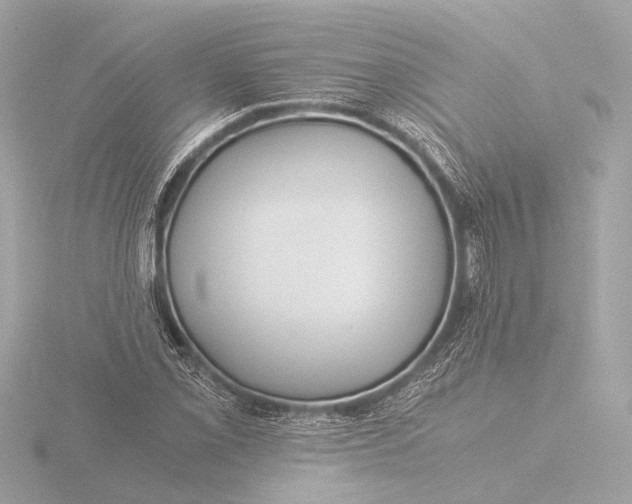 X0000116391069200912231105