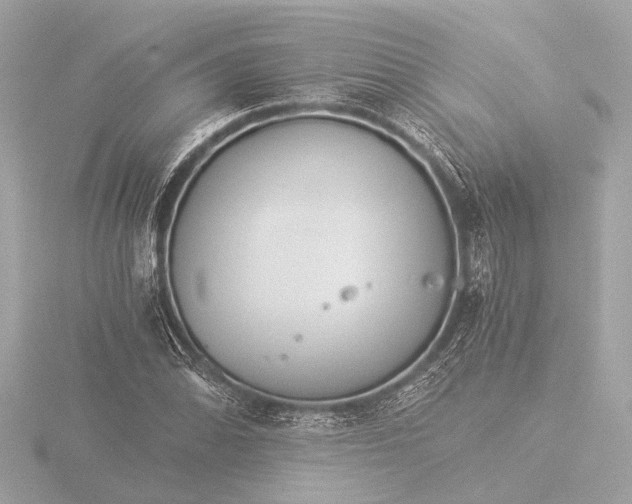 X0000116391070200912231105