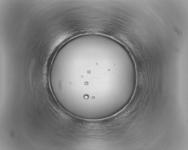 X0000116391071200912231105