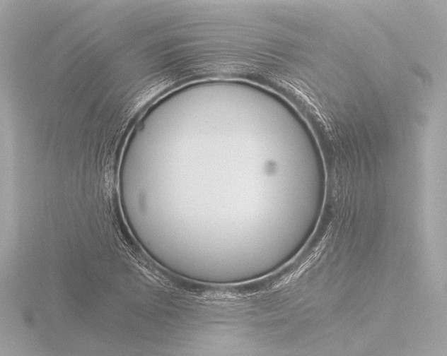 X0000116391073200912231105