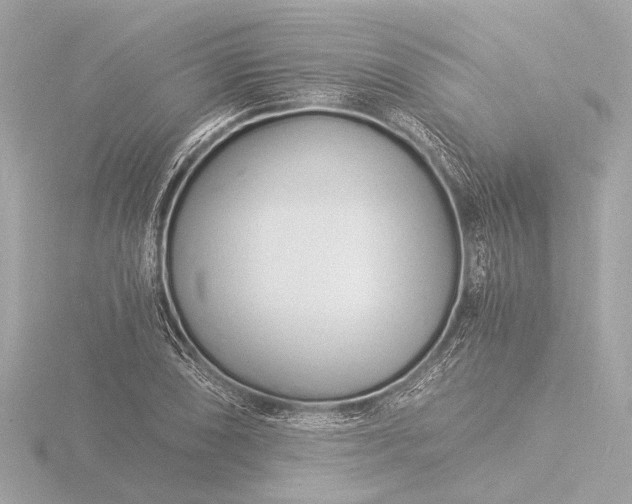 X0000116391074200912231105