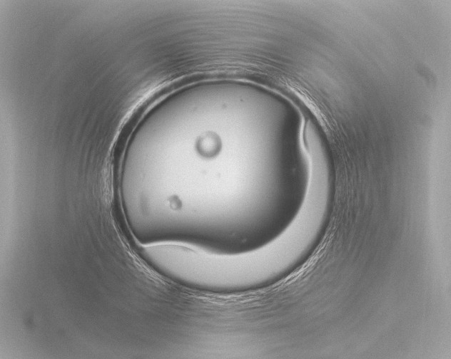 X0000116391075200912231105