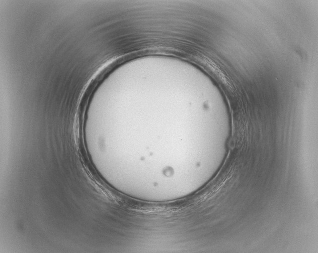 X0000116391076200912231105