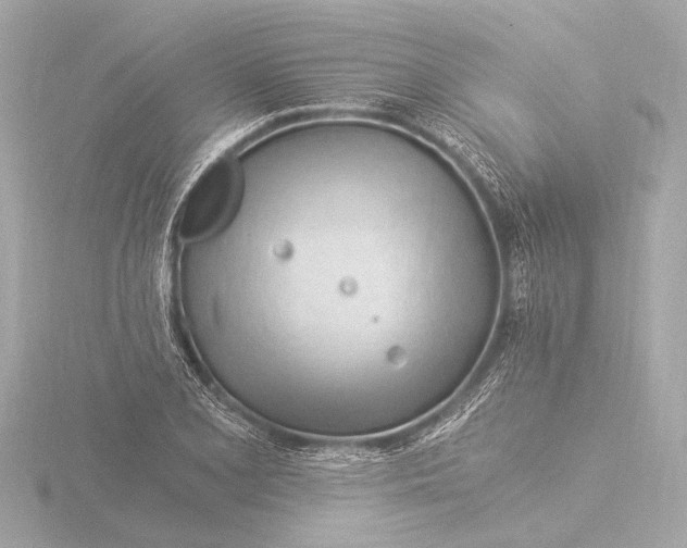 X0000116391077200912231105