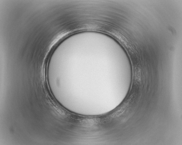 X0000116391078200912231105