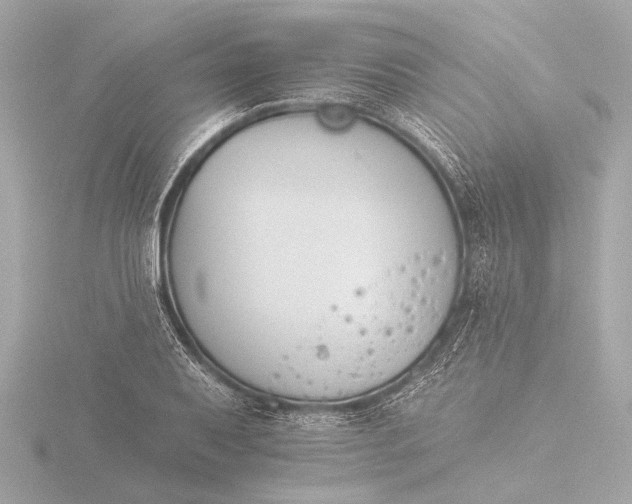 X0000116391079200912231105