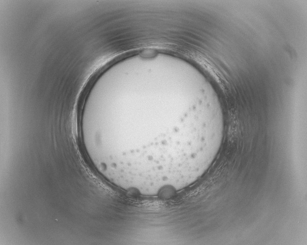 X0000116391080200912231105