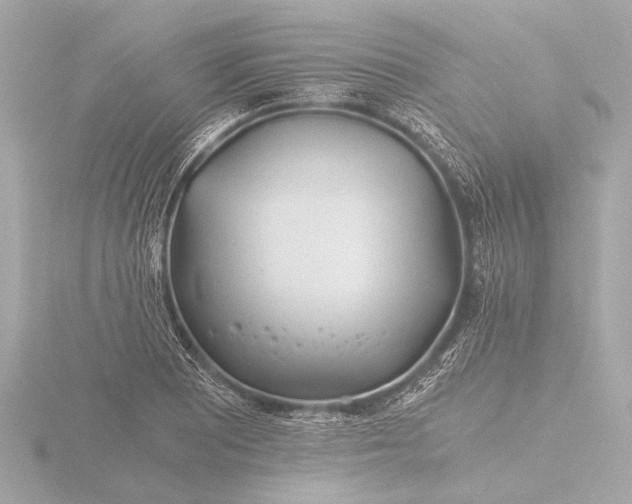 X0000116391081200912231105