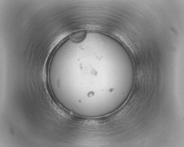 X0000116391082200912231105