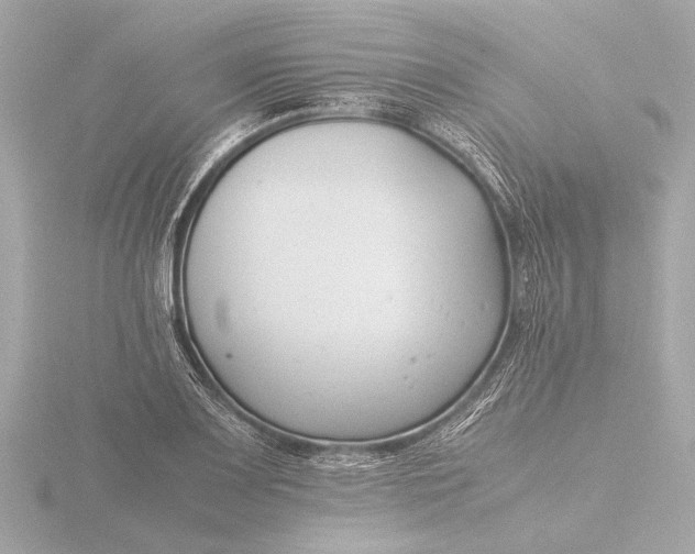 X0000116391083200912231105