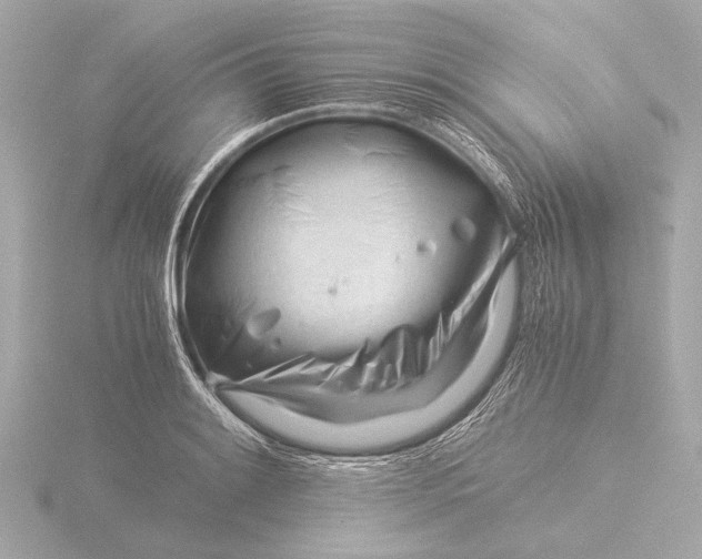 X0000116391084200912231105