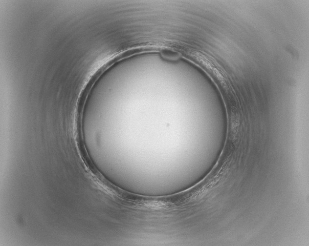 X0000116391085200912231105