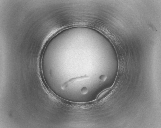 X0000116391086200912231104