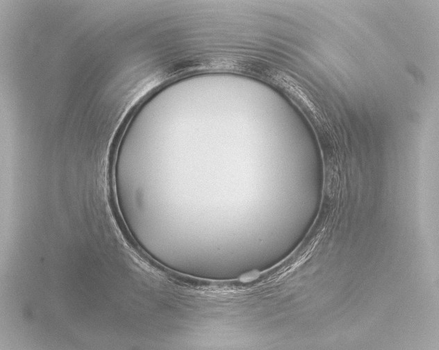 X0000116391087200912231104