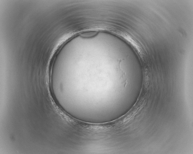 X0000116391088200912231104