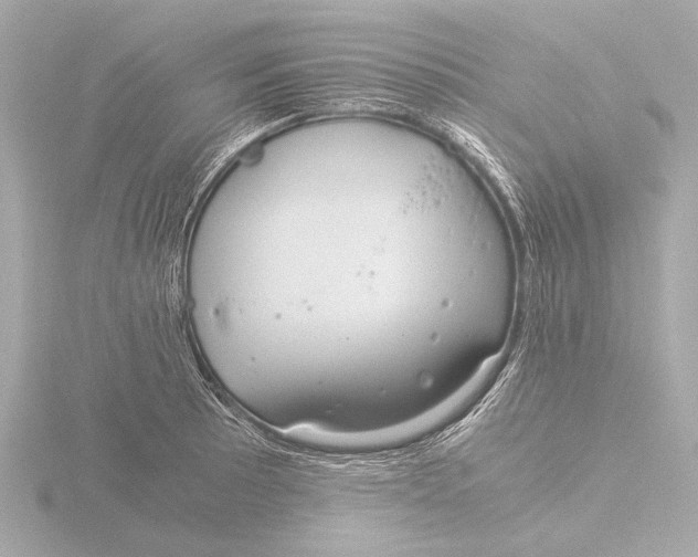 X0000116391089200912231104