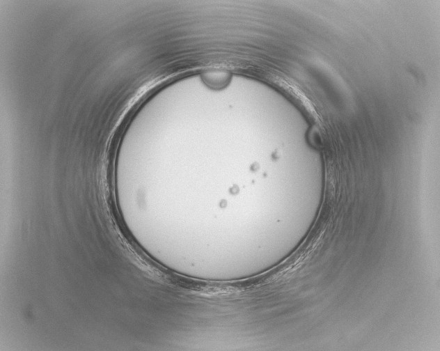 X0000116391091200912231104