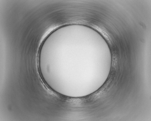 X0000116391094200912231104