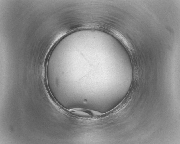 X0000116391095200912231104