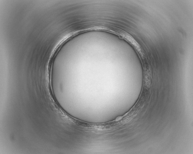 X0000116391096200912231104