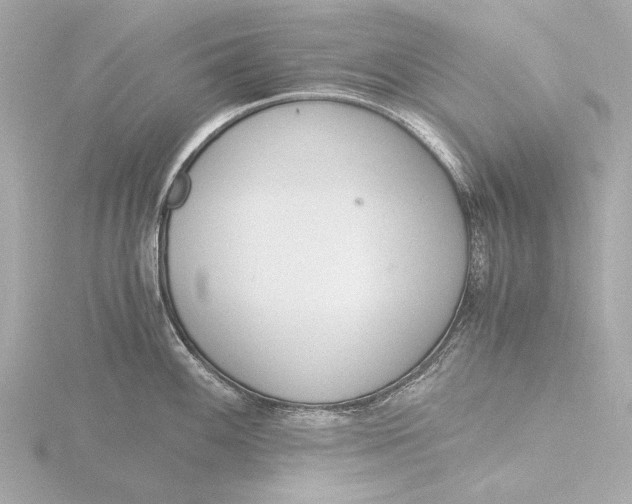 X0000116391100200912231104