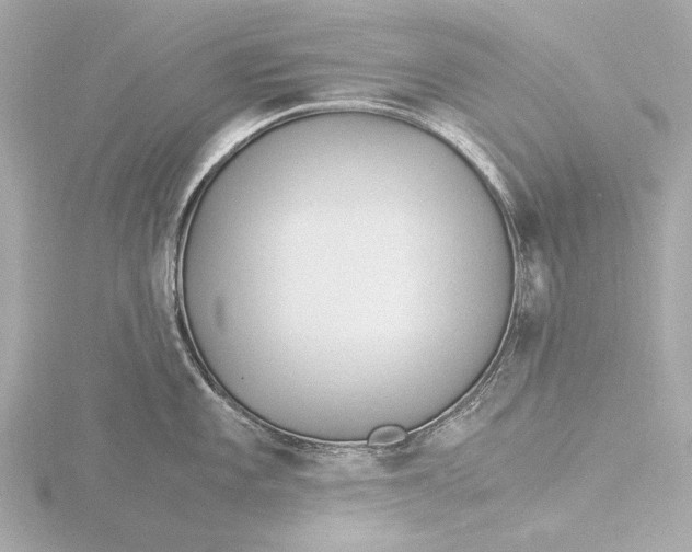 X0000116391101200912231104