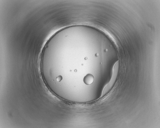 X0000116391102200912231104