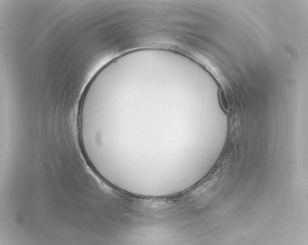 X0000116391103200912231104