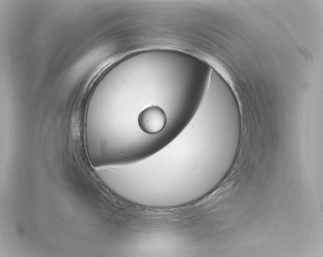 X0000116391104200912231104