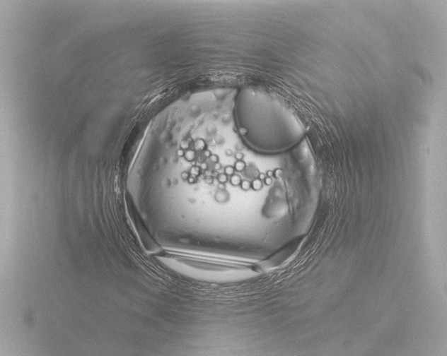 X0000116391106200912231104