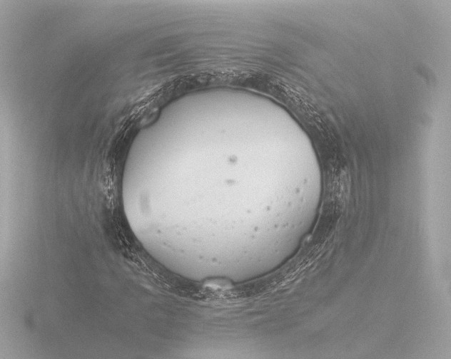 X0000116391109200912231104