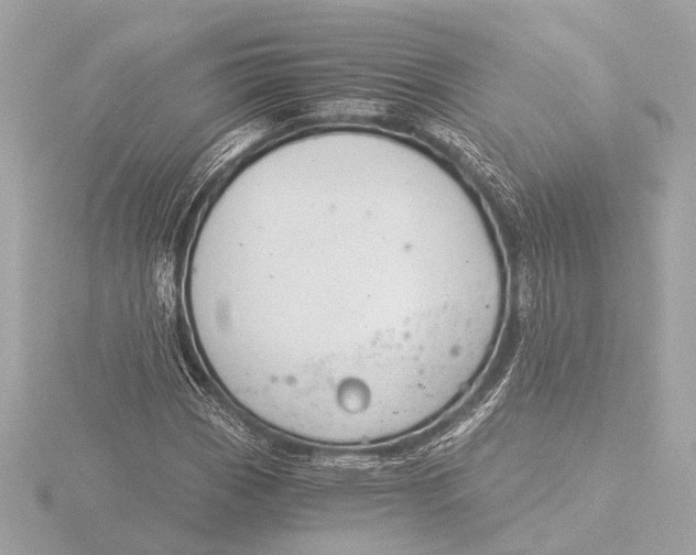 X0000116391113200912231104