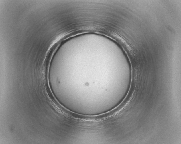 X0000116391114200912231104