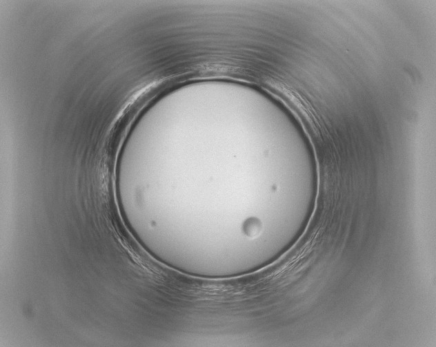 X0000116391115200912231104