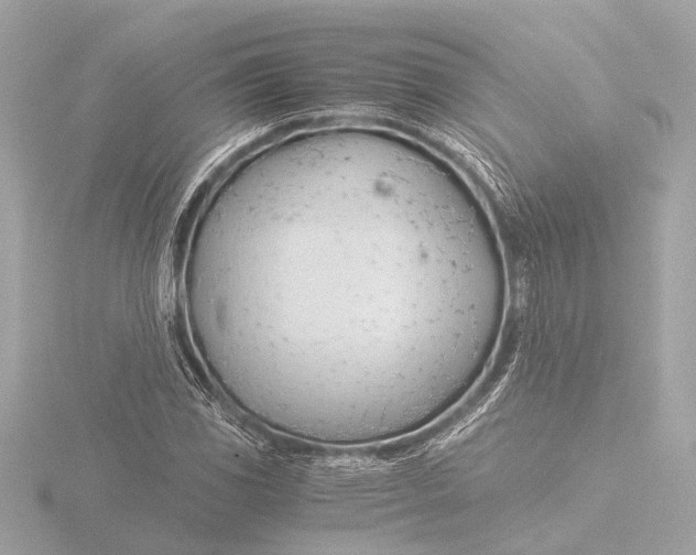 X0000116391117200912231104