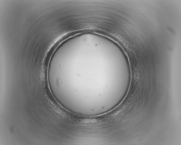 X0000116391118200912231104