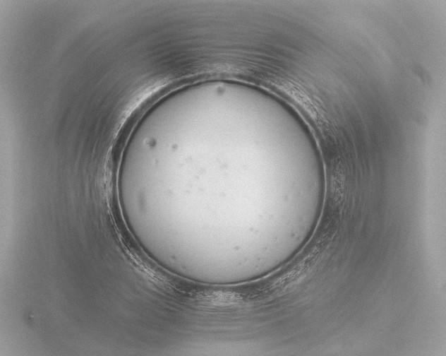 X0000116391119200912231104