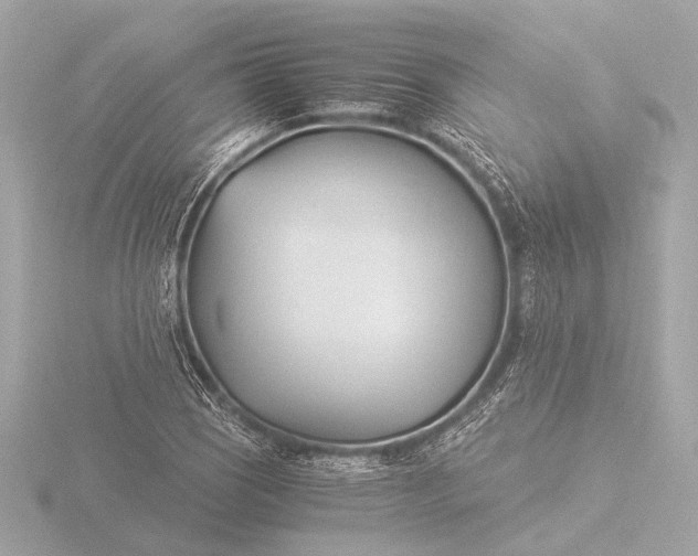 X0000116391121200912231104