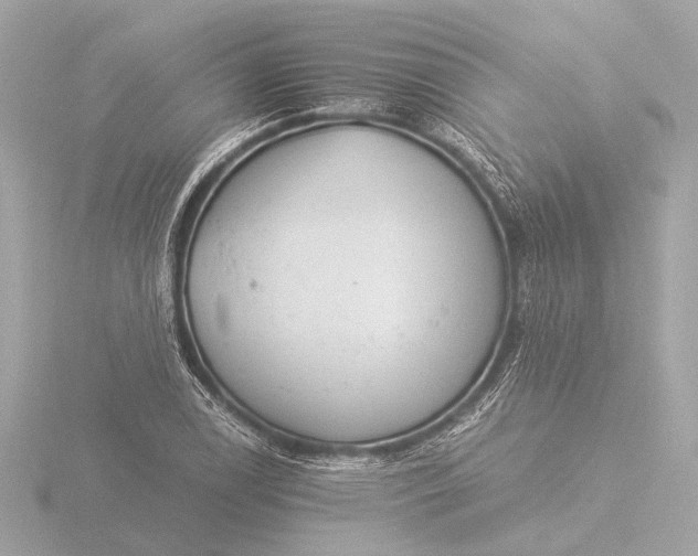 X0000116391122200912231104