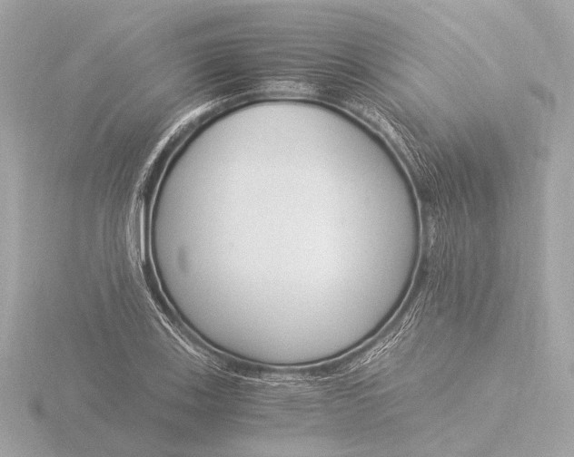 X0000116391123200912231104