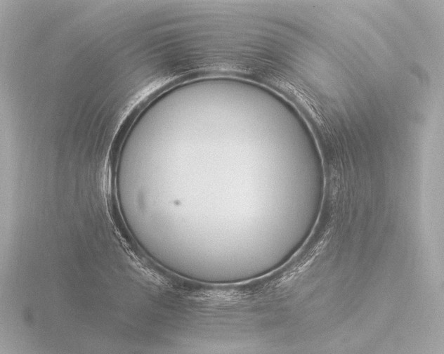 X0000116391125200912231104