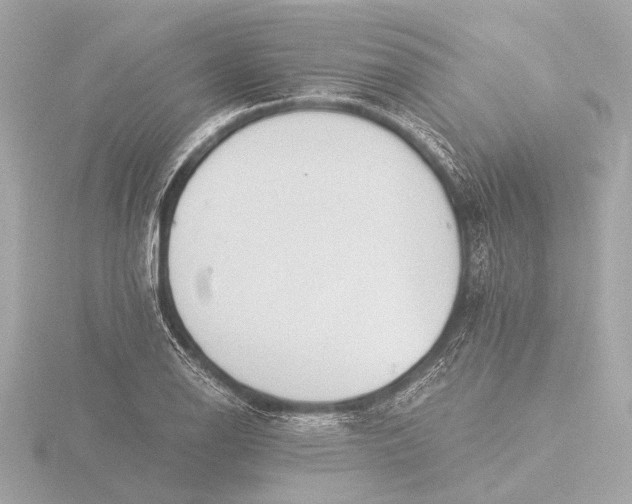 X0000116391126200912231104