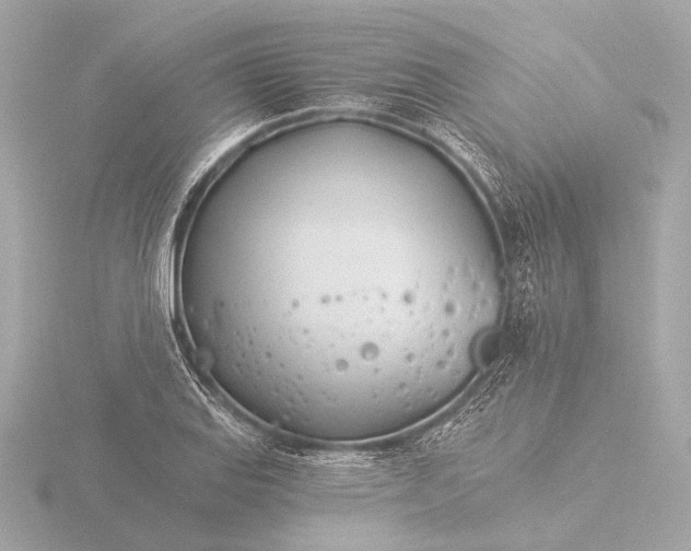 X0000116391127200912231104