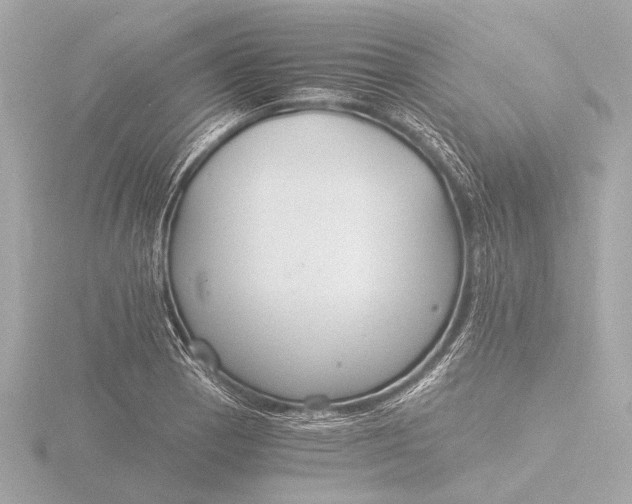 X0000116391129200912231104