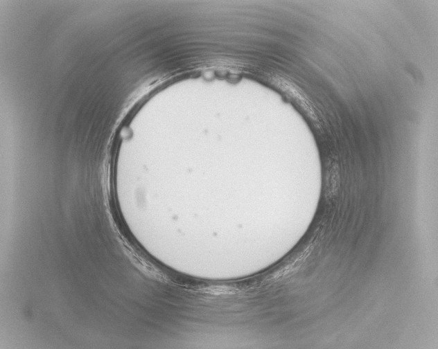 X0000116391130200912231104