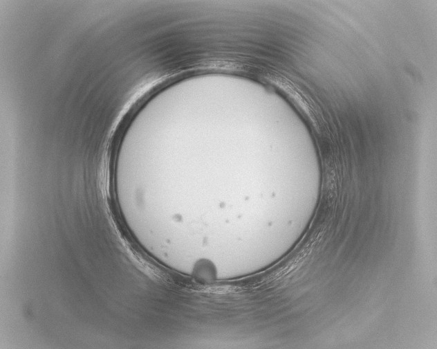 X0000116391131200912231104