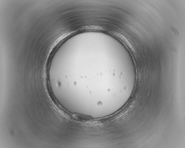 X0000116391133200912231104