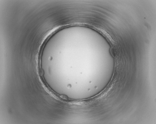 X0000116391134200912231104