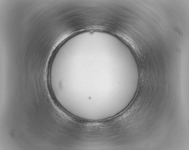 X0000116391135200912231104